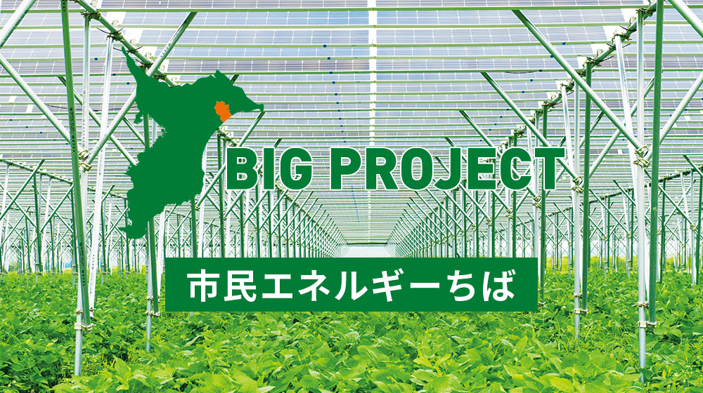 匝瑳メガソーラーシェアリング 農地創出プロジェクトの全貌 （前編）